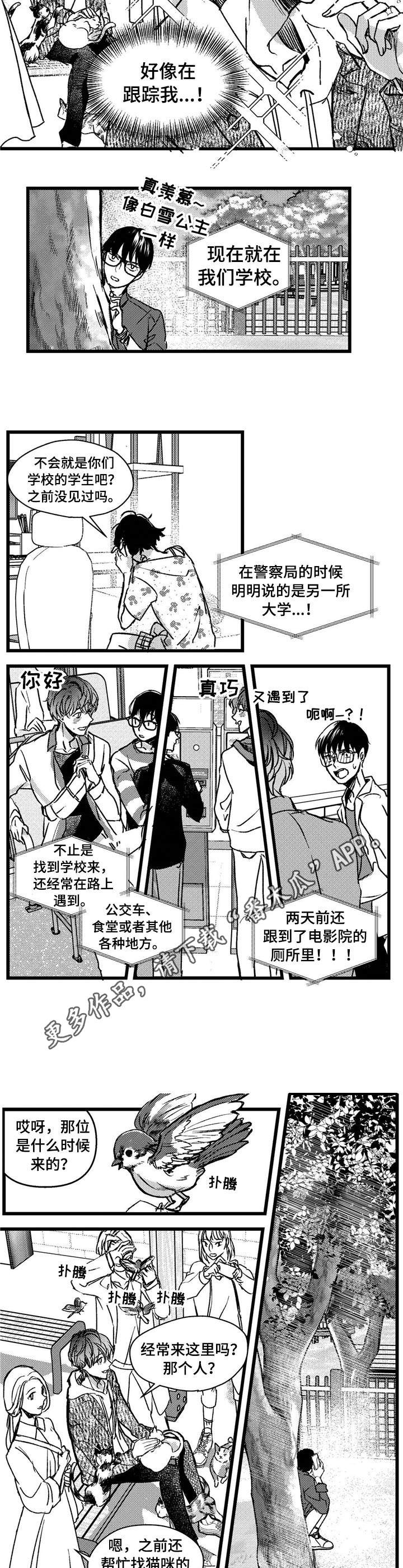 狼与羊恋爱漫画,第3章：跟踪1图