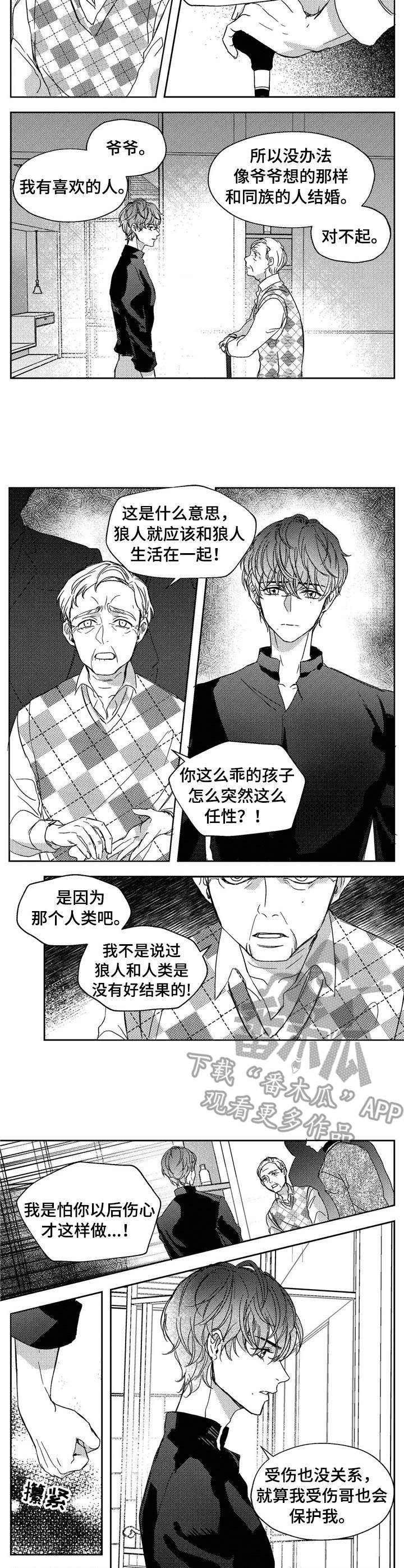 狼与水果漫画,第19章：辩论1图