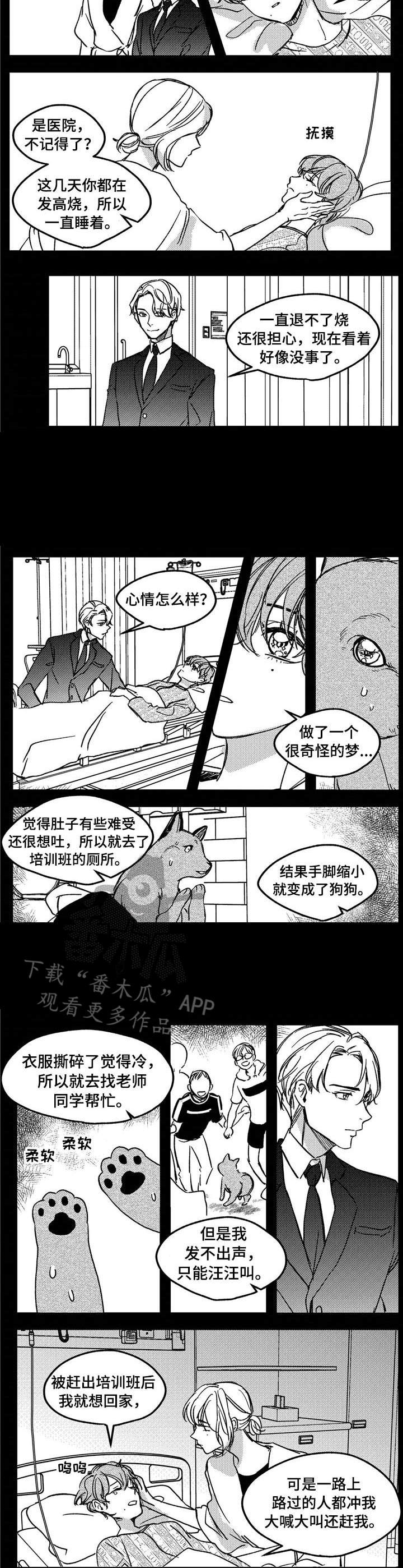 动画片狼与羊漫画,第11章：不是失误1图