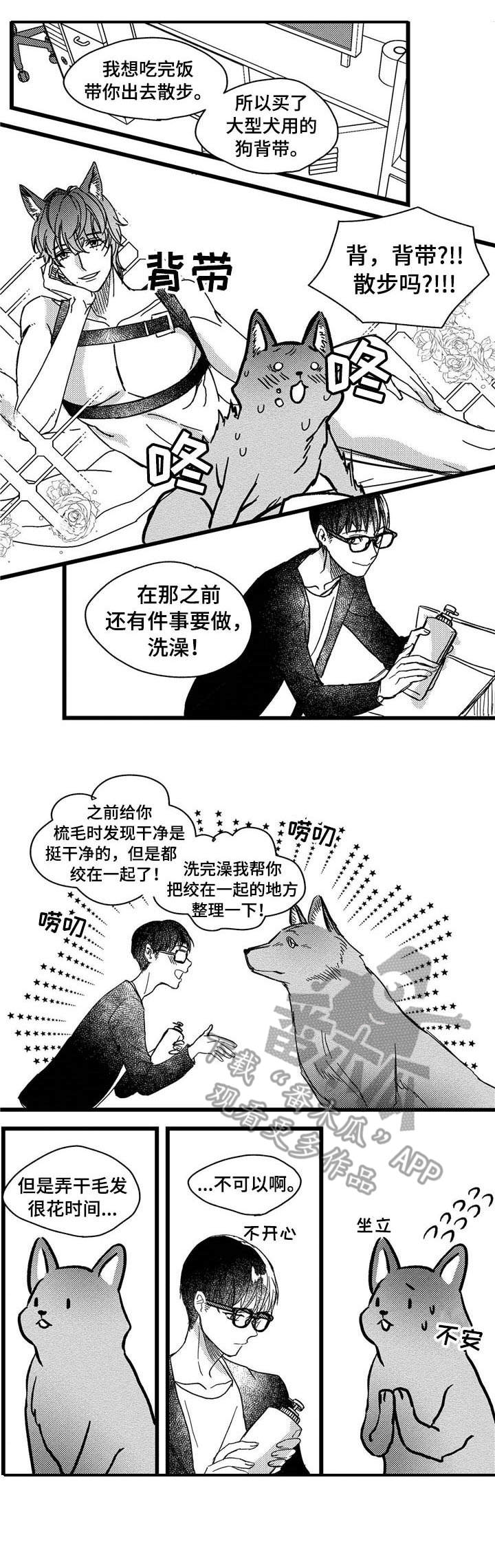 狼与玫瑰小说漫画,第5章：洗一洗1图