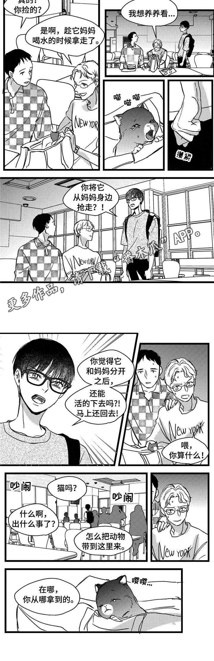 狼与美女剧情版漫画,第7章：小猫1图