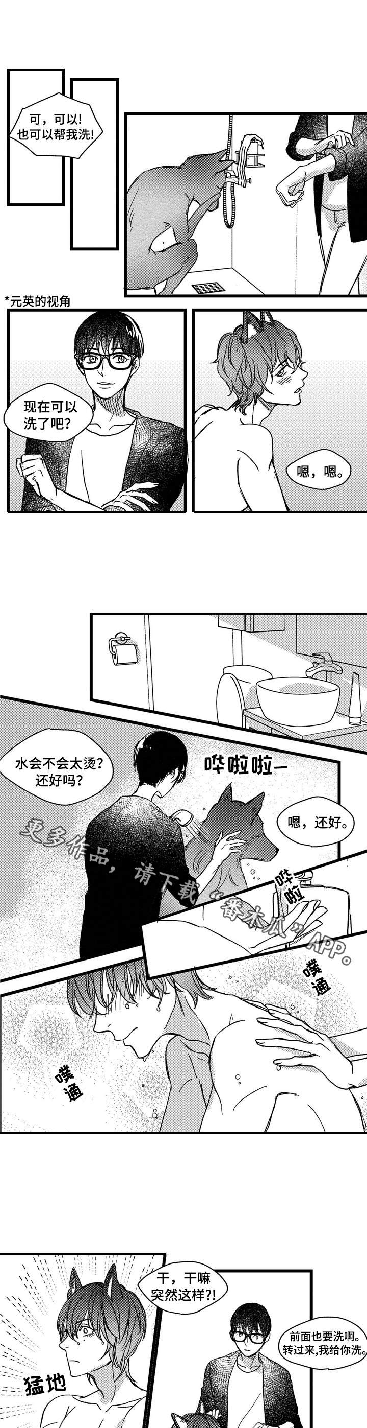 狼与玫瑰小说漫画,第5章：洗一洗2图