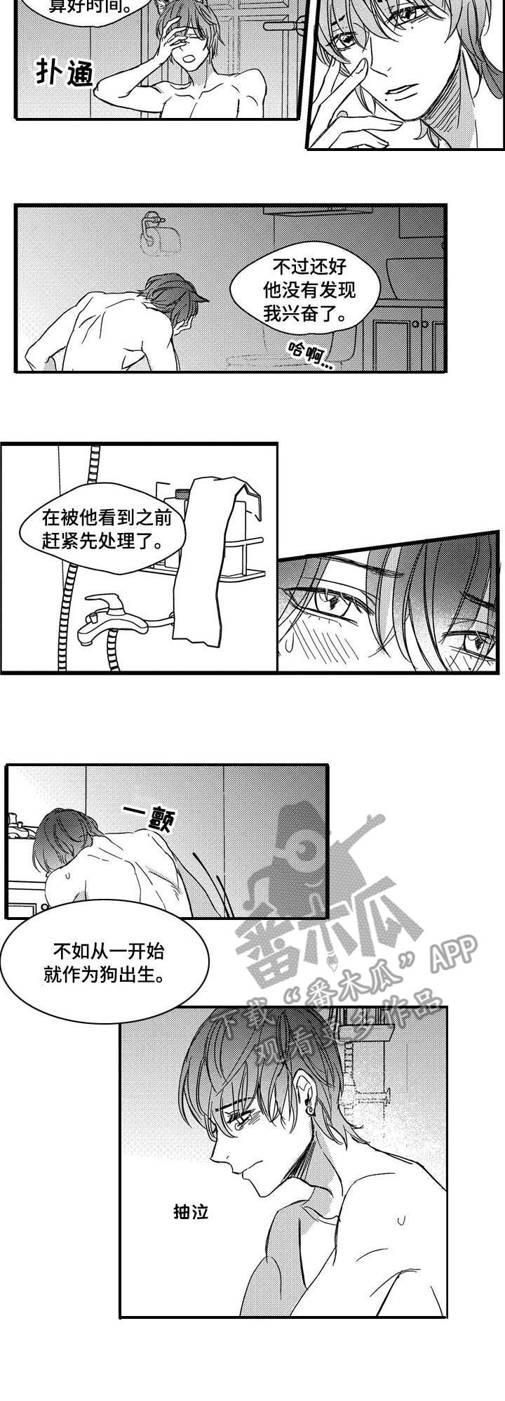 狼与糖果漫画,第6章：借酒消愁2图