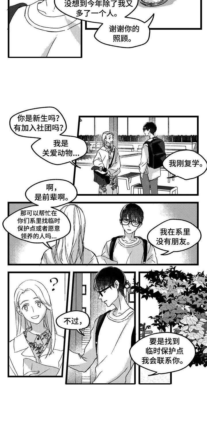 狼与羊恋爱漫画,第1章：小动物1图