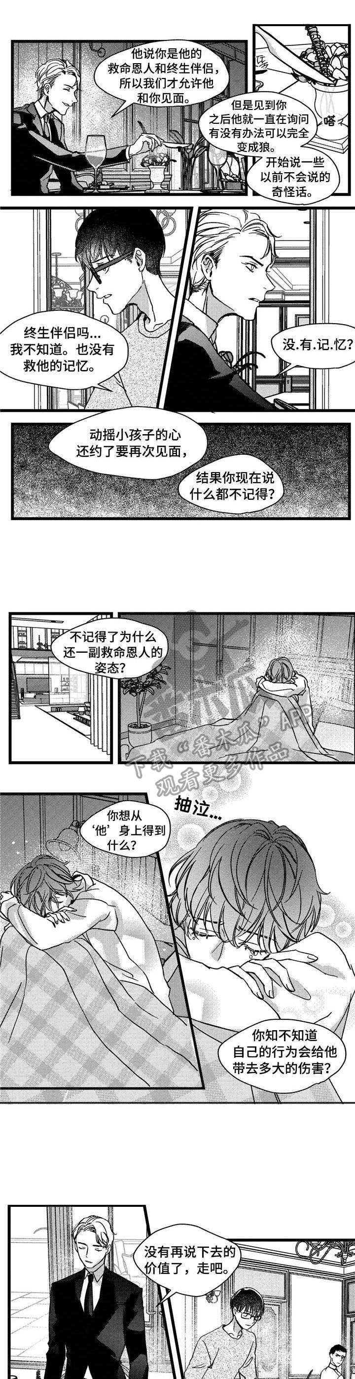 狼和巧克力表达的是什么漫画,第8章：警告1图