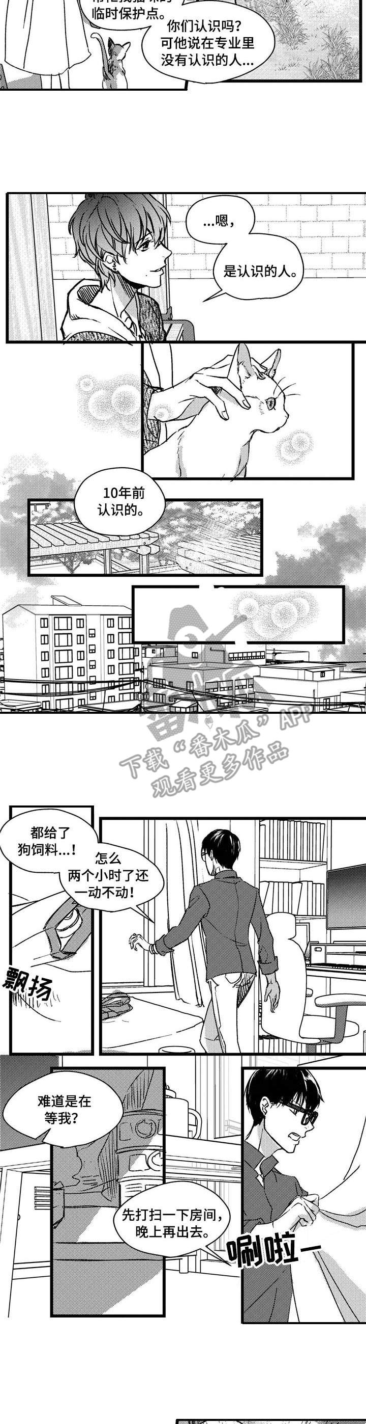 狼与羊恋爱漫画,第3章：跟踪2图