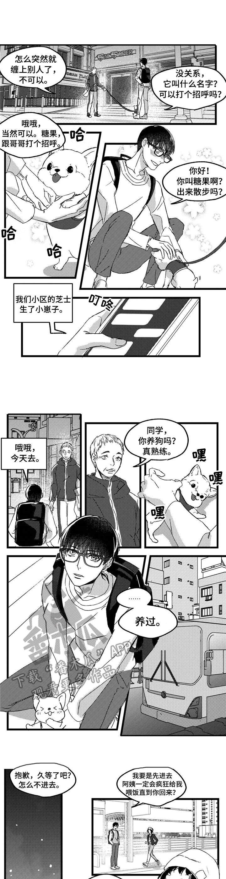 狼与羊绘本漫画,第2章：举止怪异2图