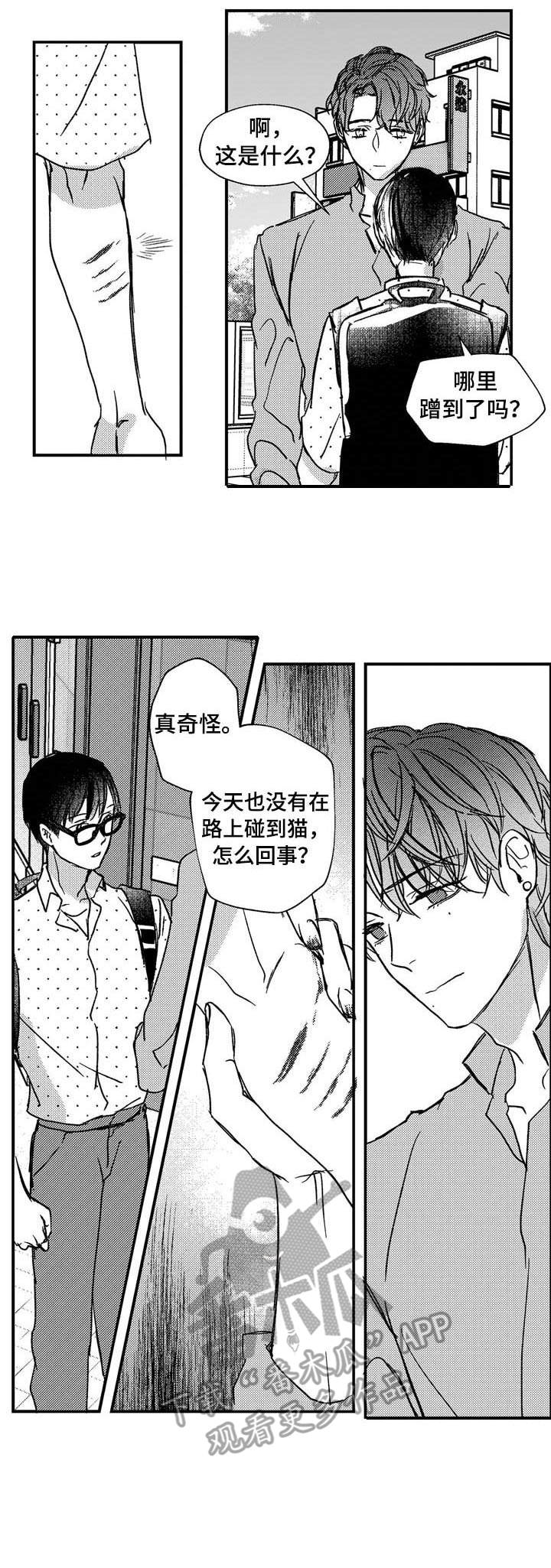 狼与七只小山羊的故事漫画,第14章：约会2图