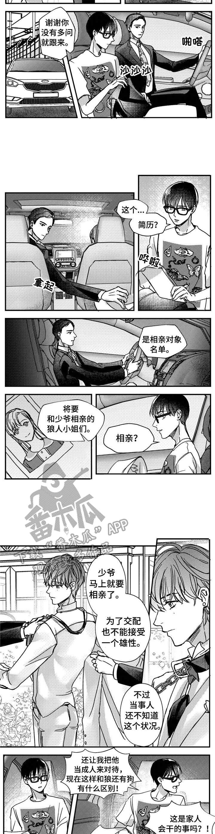 狼与巧克力漫画,第15章： 聚会1图