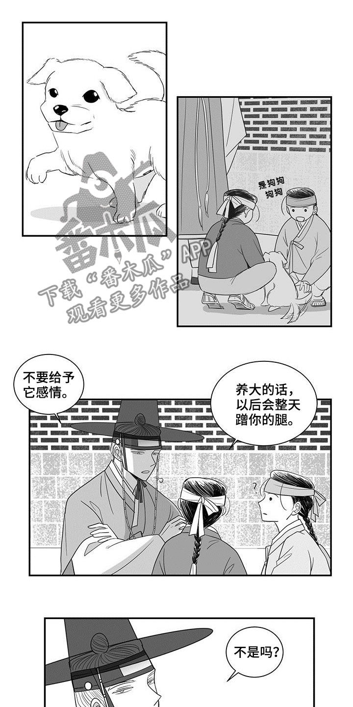 新生贵族孕妇大礼包漫画,第48章：尾随2图