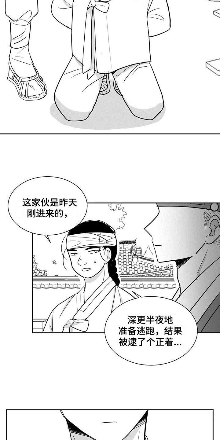 新生贵族孕妇大礼包漫画,第1章：冤屈2图