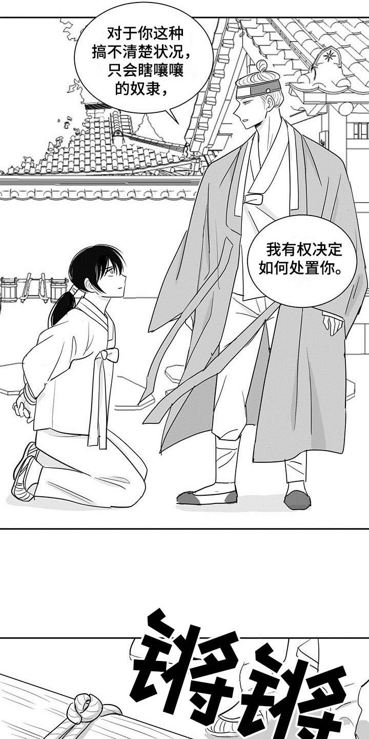 贵族版漫画,第2章：处置2图