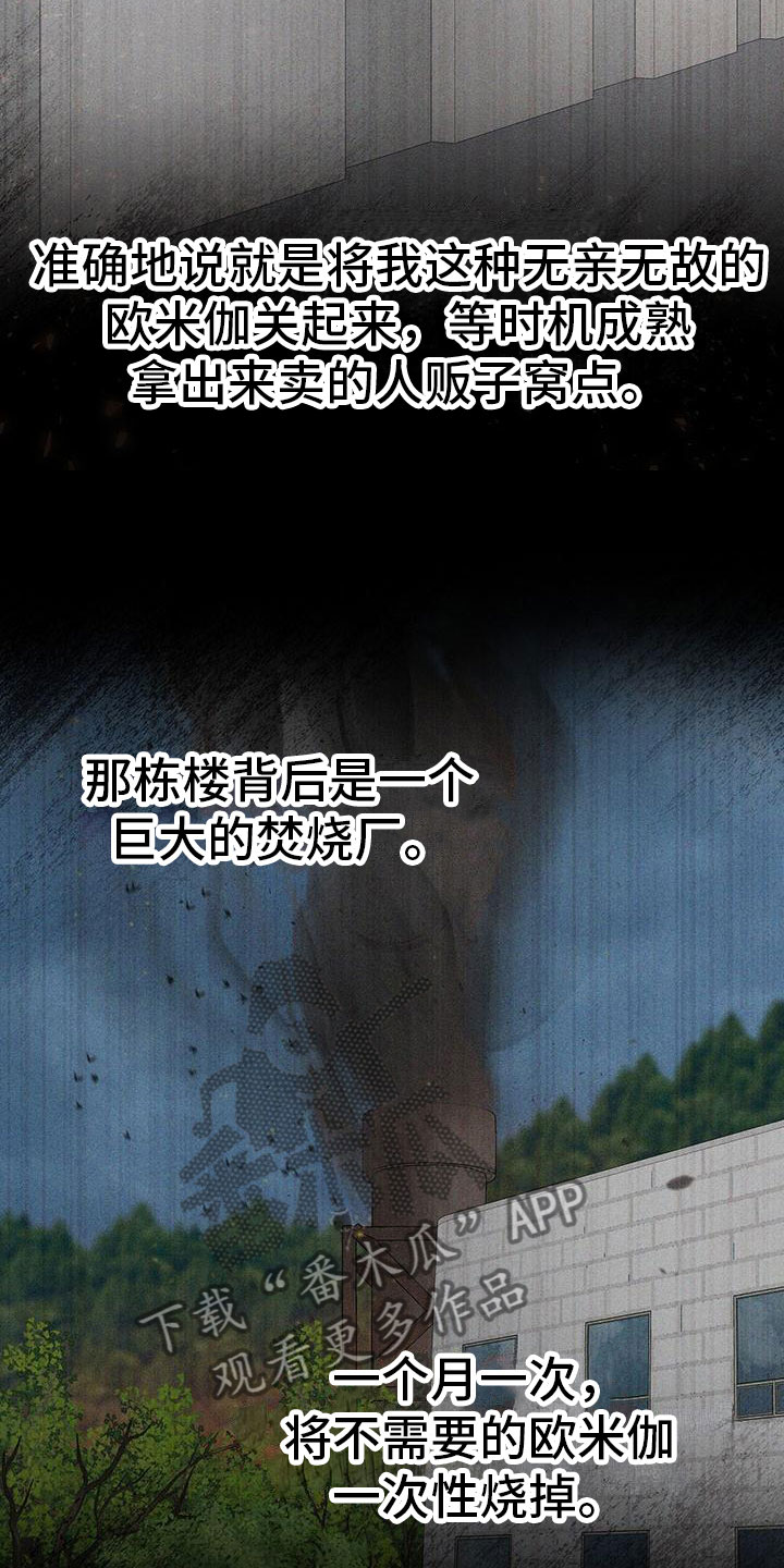 纯白记忆漫画,第5章：糟糕的想法1图
