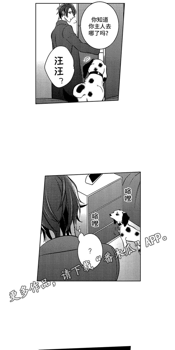 顶级模特漫画,第17章：寻找2图