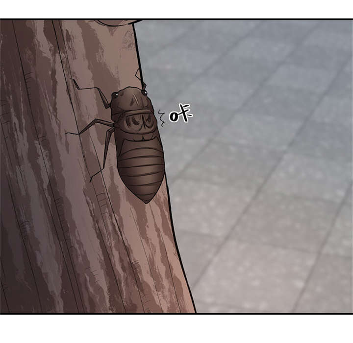 整容手札漫画,第16章： 美容针（柒）1图