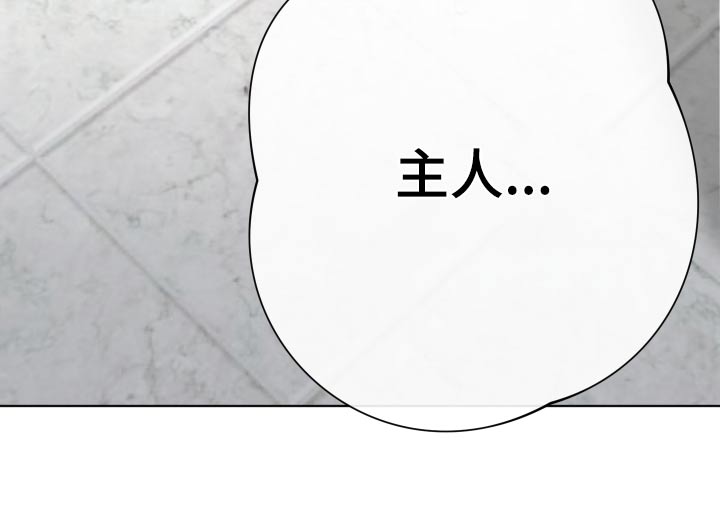 和白莲花同居后漫画,第37章：我错了2图