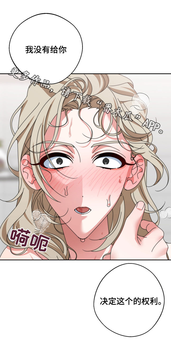 与白莲花同居了漫画,第22章：决定的权利1图