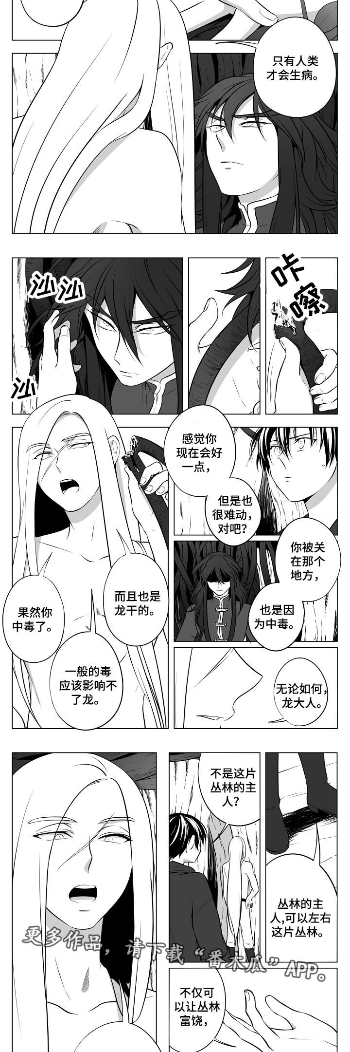 猎龙之剑漫画,第18章：丛林的主人2图