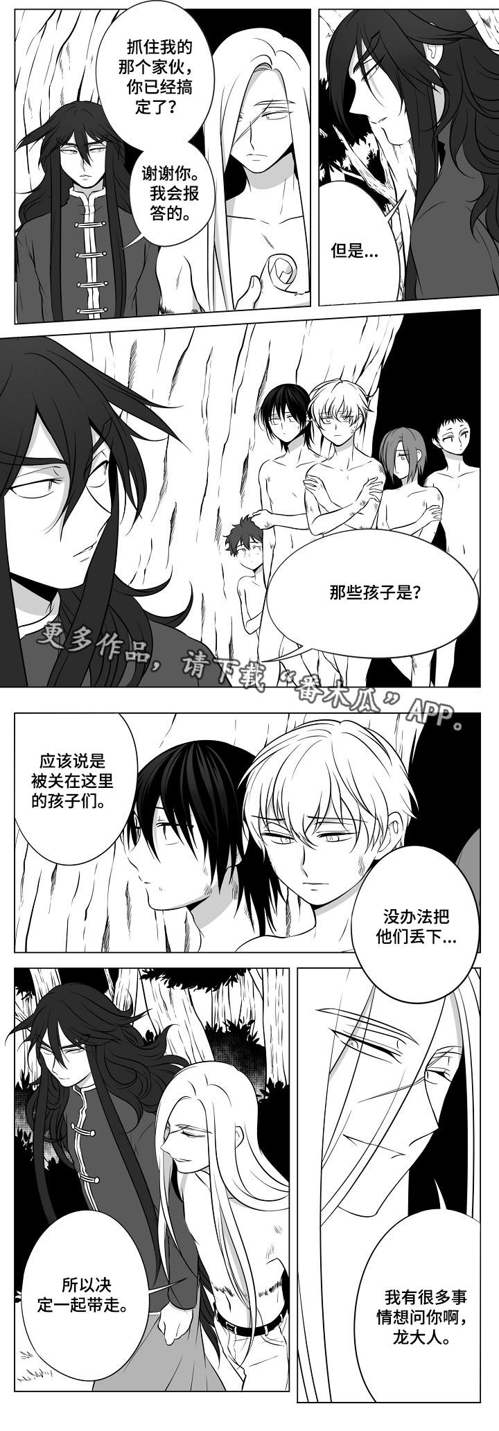 猎龙箭术漫画,第18章：丛林的主人1图