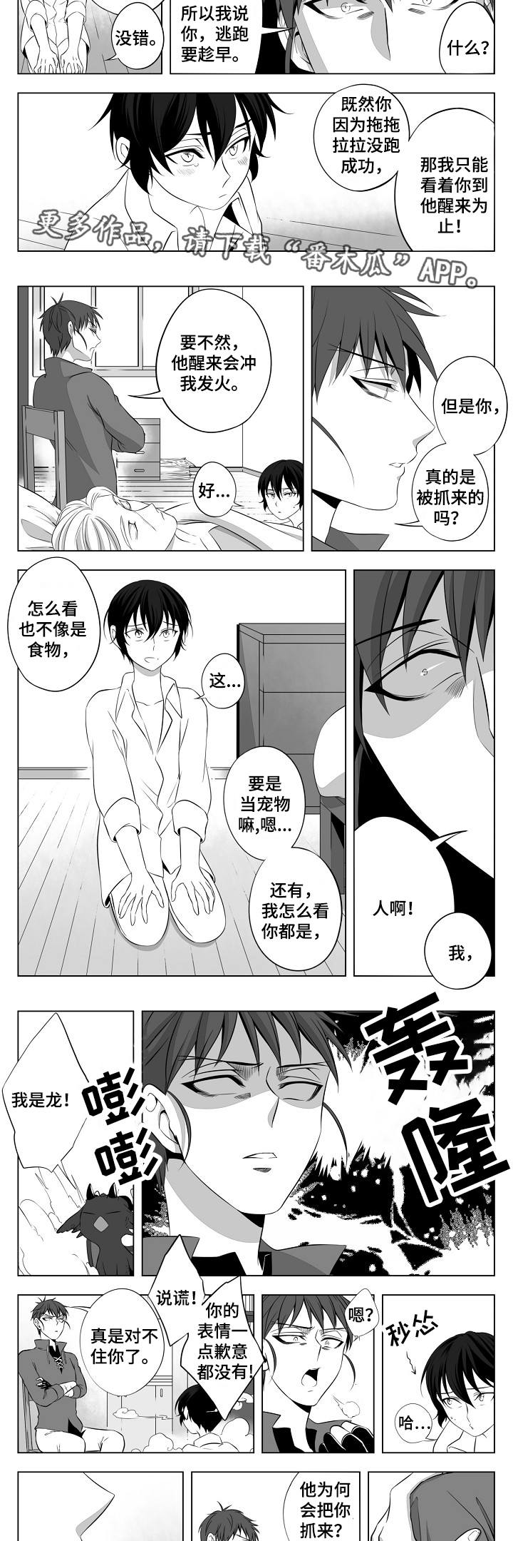 猎龙战法漫画,第4章：一见钟情1图