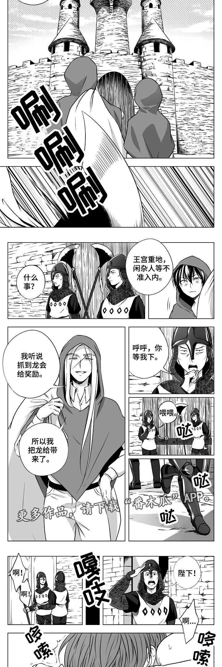 猎龙行动漫画,第20章：皇宫2图