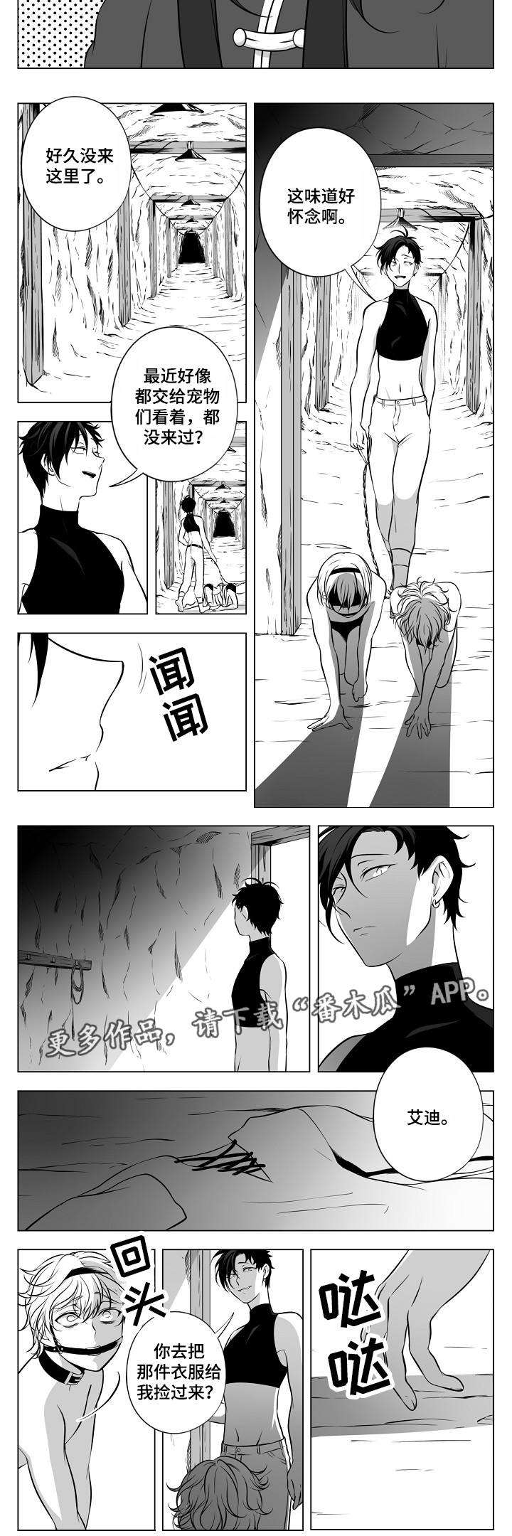 猎龙谋划漫画,第20章：皇宫2图