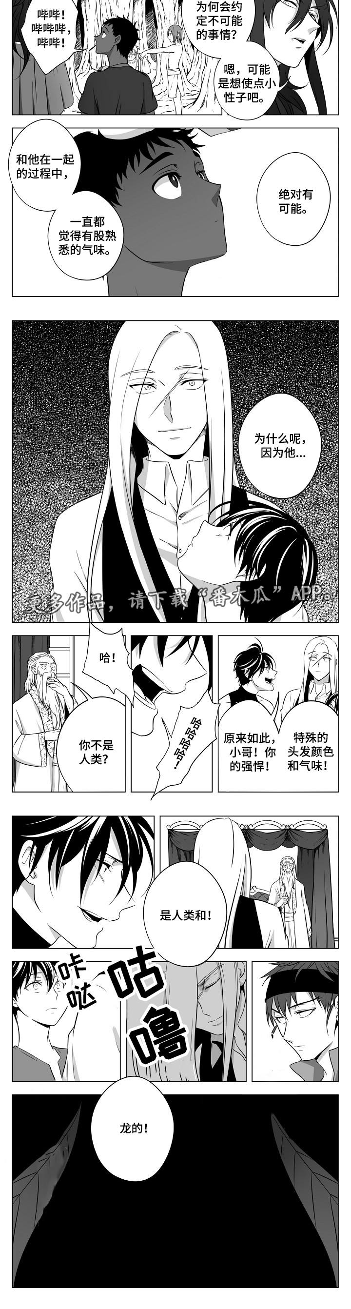 猎龙战法漫画,第24章：终章2图