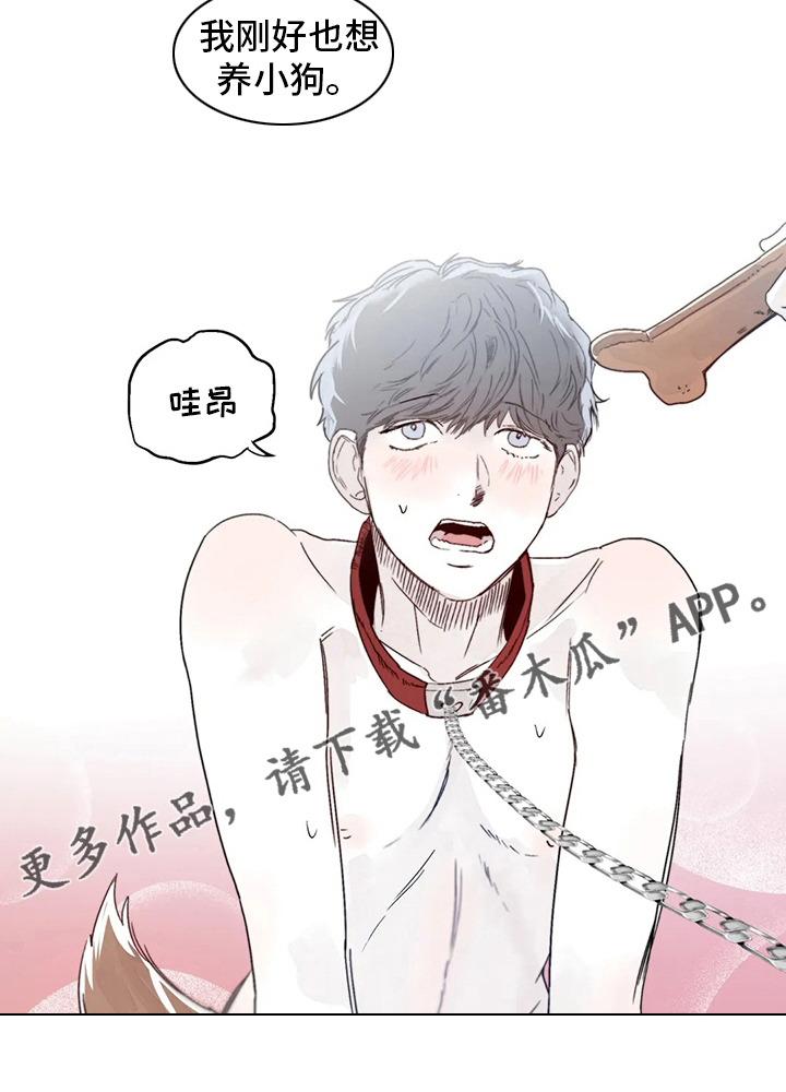 儿童对音乐有独特兴趣漫画,第21章：小狗2图