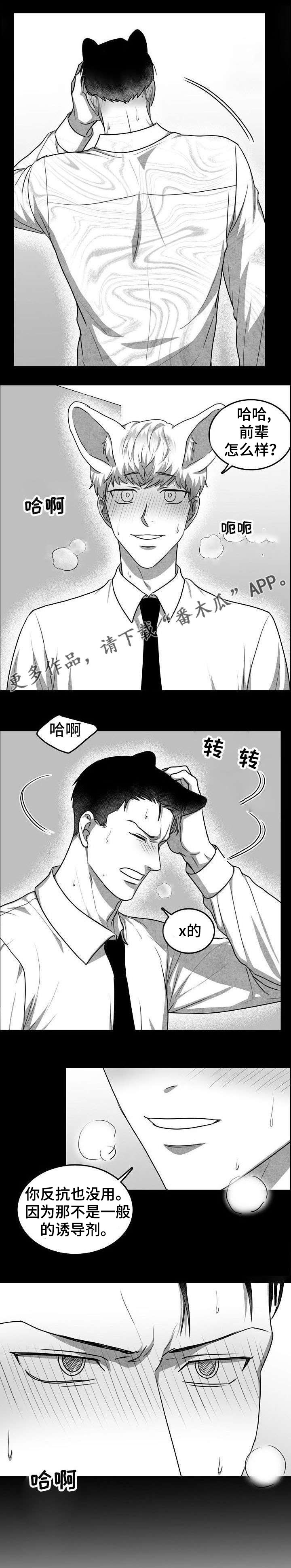 兽人同体漫画,第24章：下药2图