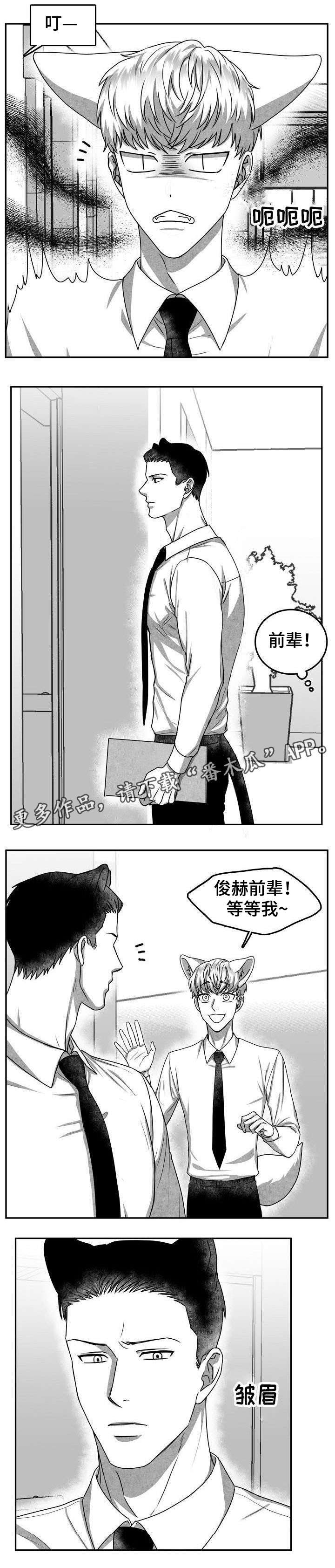 兽人与人类种族漫画,第28章：失魂落魄1图