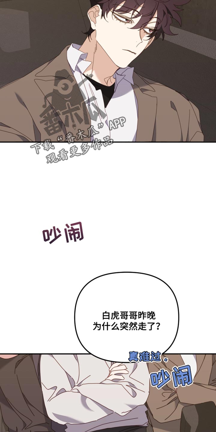 虎斑的声音漫画,第65章：特别的原因2图