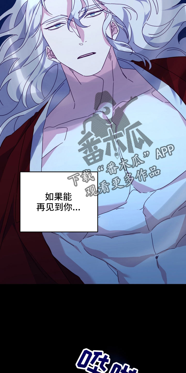 虎的声音漫画,第45章：赌约2图