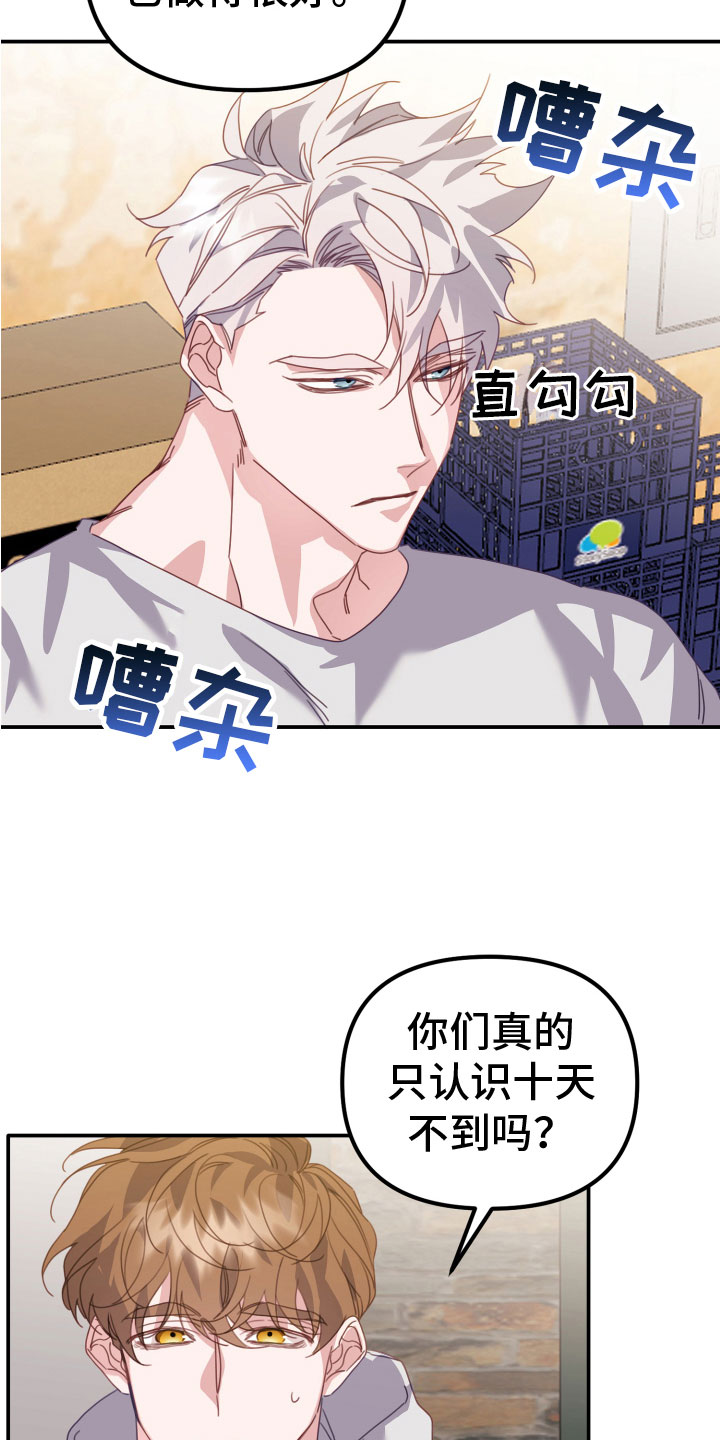 虎的声音漫画在哪看漫画,第20章：抓住你1图