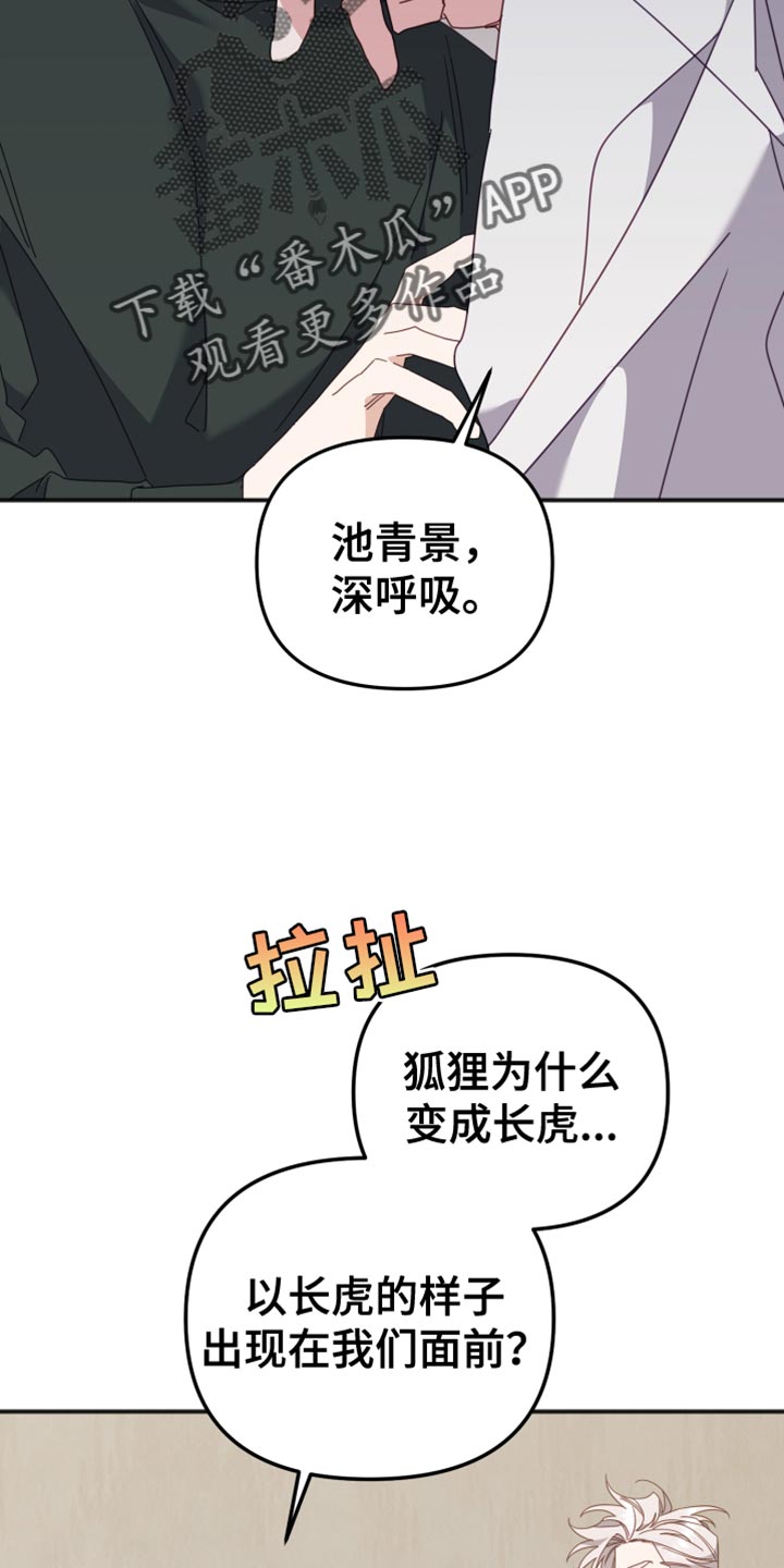 虎的最佳婚配天生一对漫画,第73章：最后的心愿2图