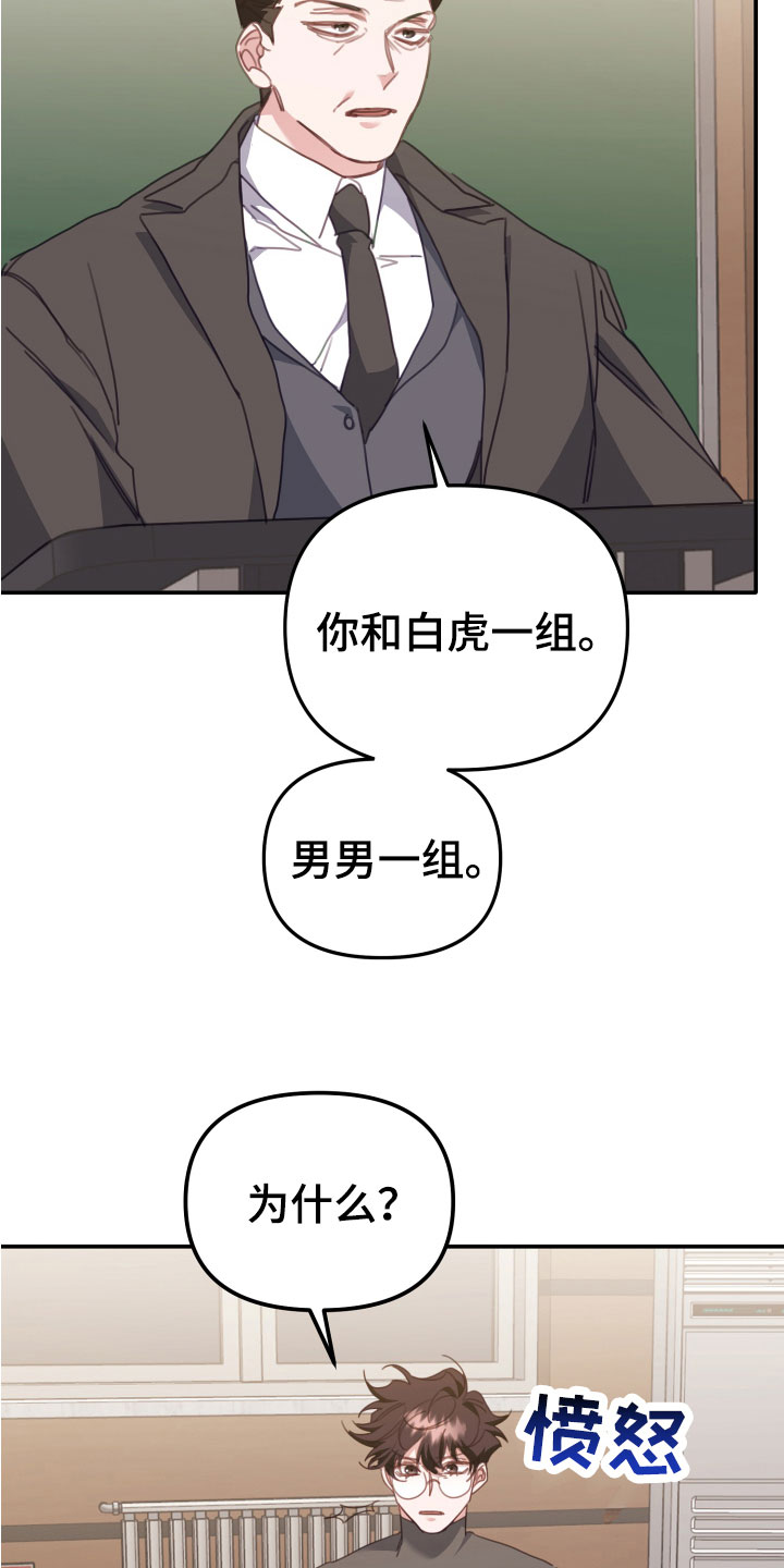 虎的最佳婚配天生一对漫画,第18章：和你一组1图