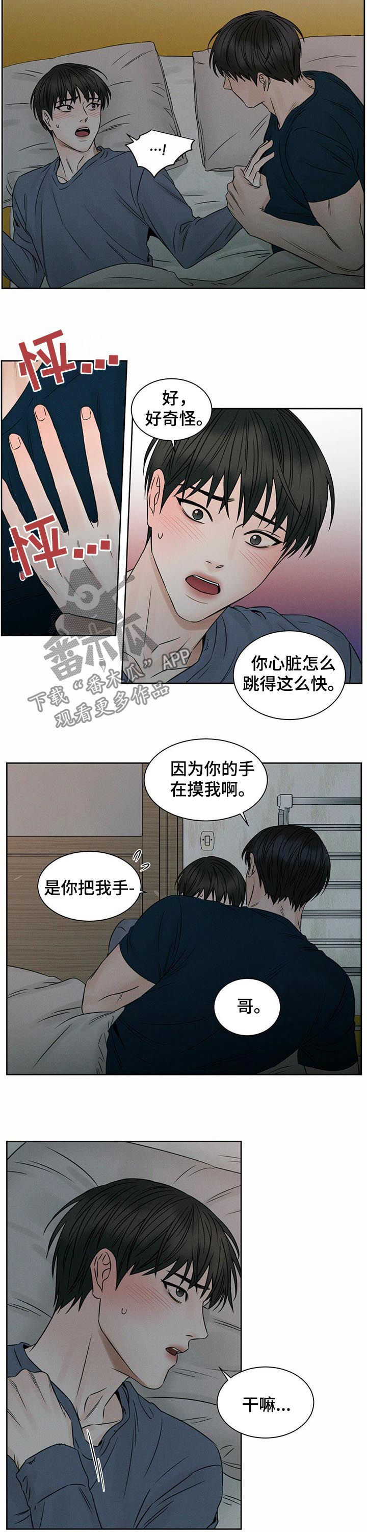 即使你不爱我免费漫画漫画,第38章：同眠2图