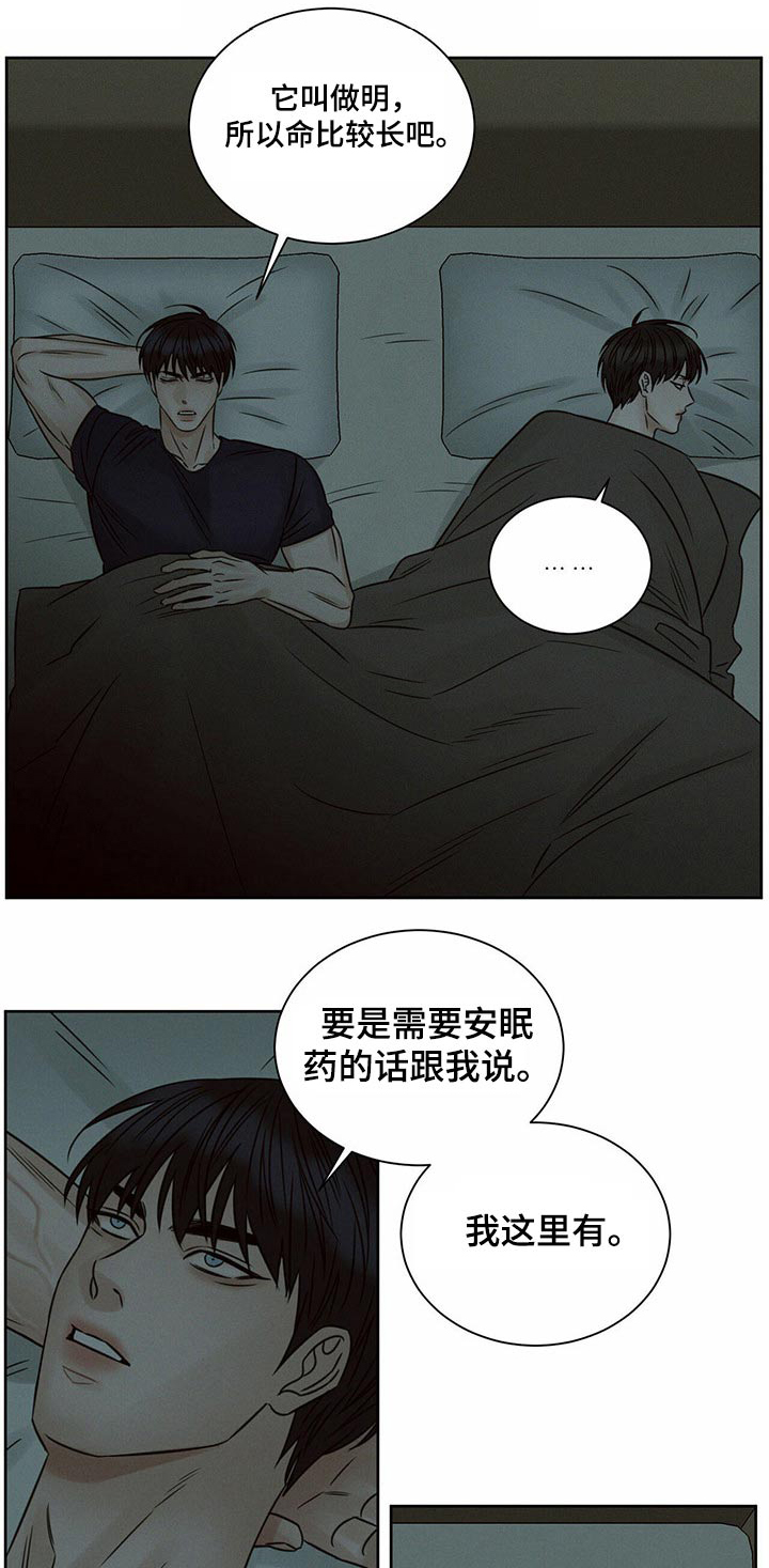 即使你不爱我漫画在线免费漫画,第116章：【第二季】同情1图