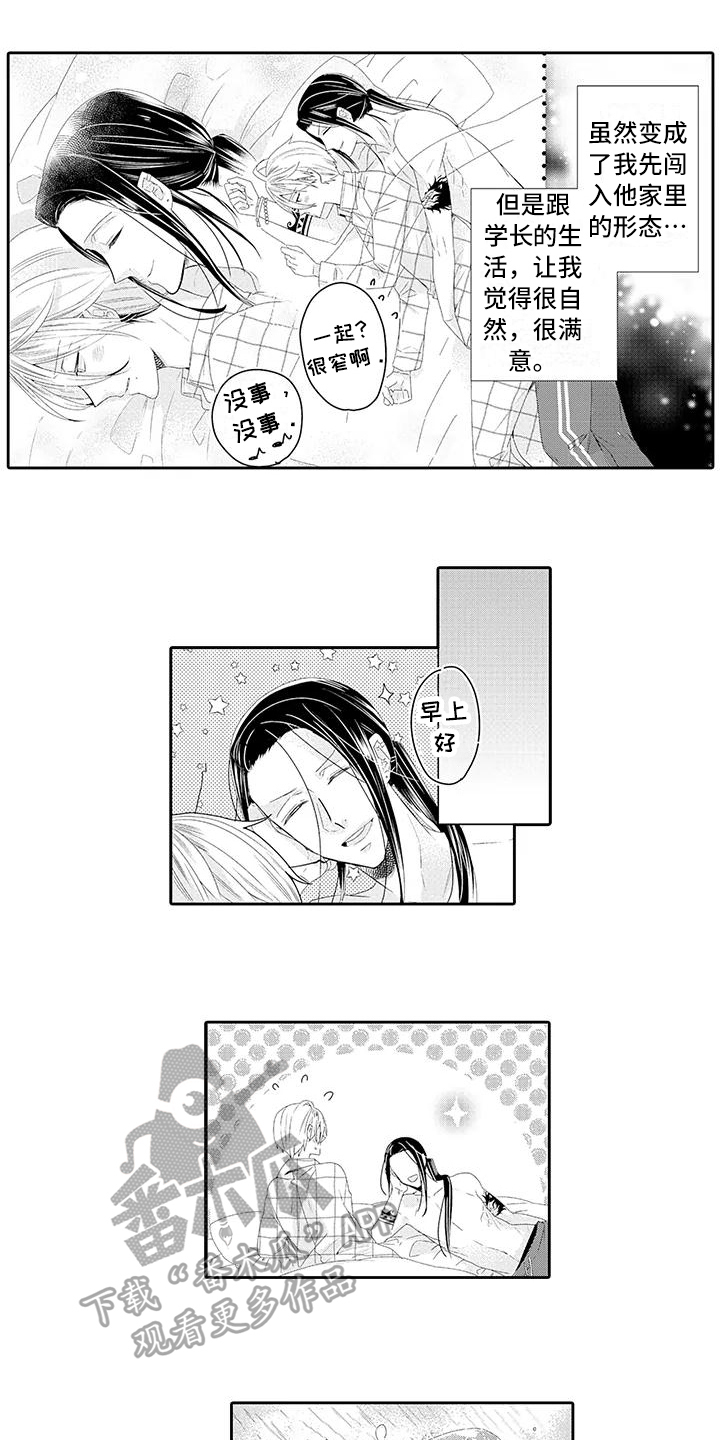 蝴蝶种子怎么种漫画,第17章：满意2图