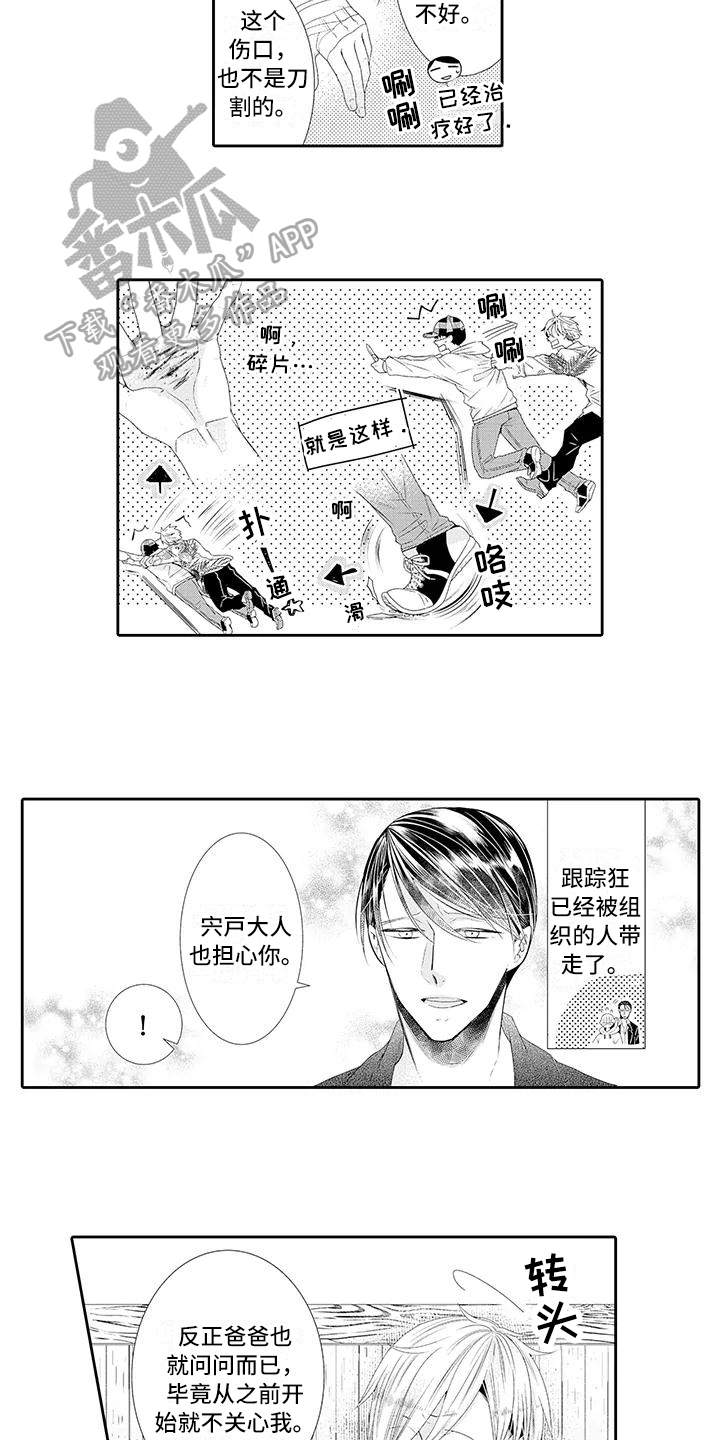 蝴蝶兰的养殖方法和注意事项漫画,第13章：受伤1图