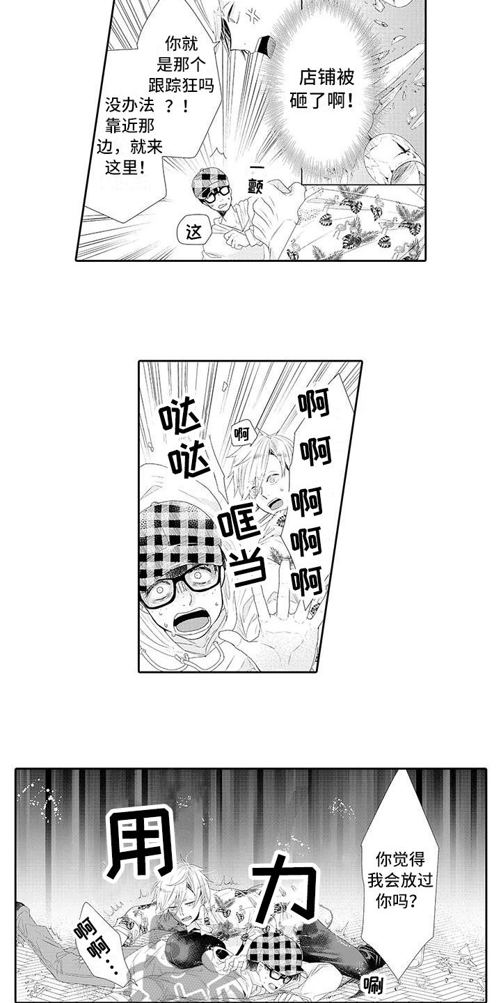 蝴蝶种子图漫画,第13章：受伤1图