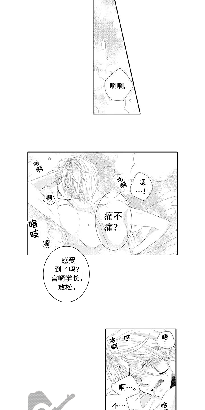 蝴蝶种类 图片素材漫画,第16章：交易1图