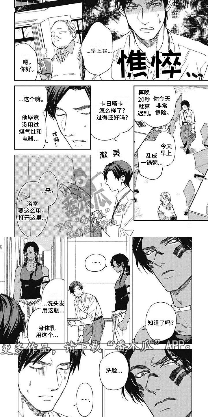 做你的新娘抖音漫画,第6章：相处日常2图