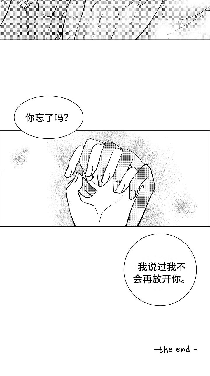 最后的重逢漫画,第34章：夜想曲：不放开2图