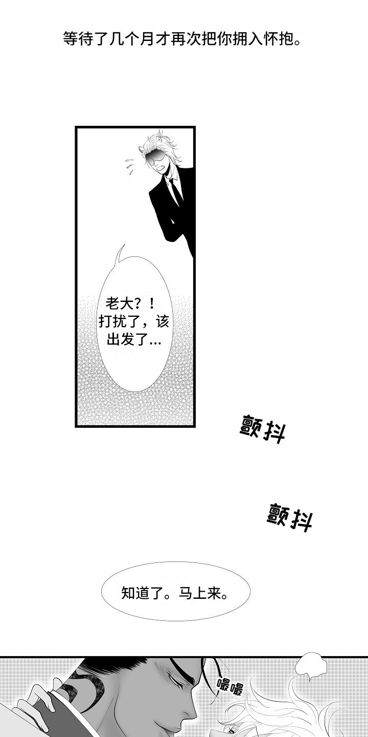 最后的重逢漫画,第14章：尘埃落定1图