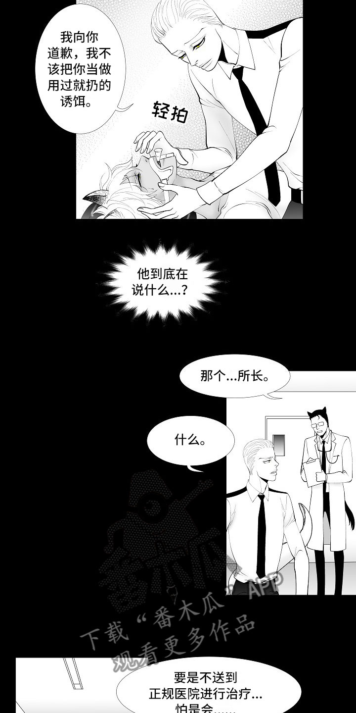 最后的重逢音乐表达什么漫画,第9章：律师电话1图