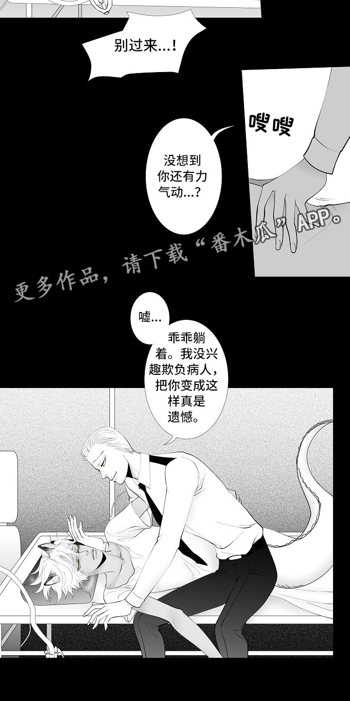 最后的重逢音乐表达什么漫画,第9章：律师电话2图