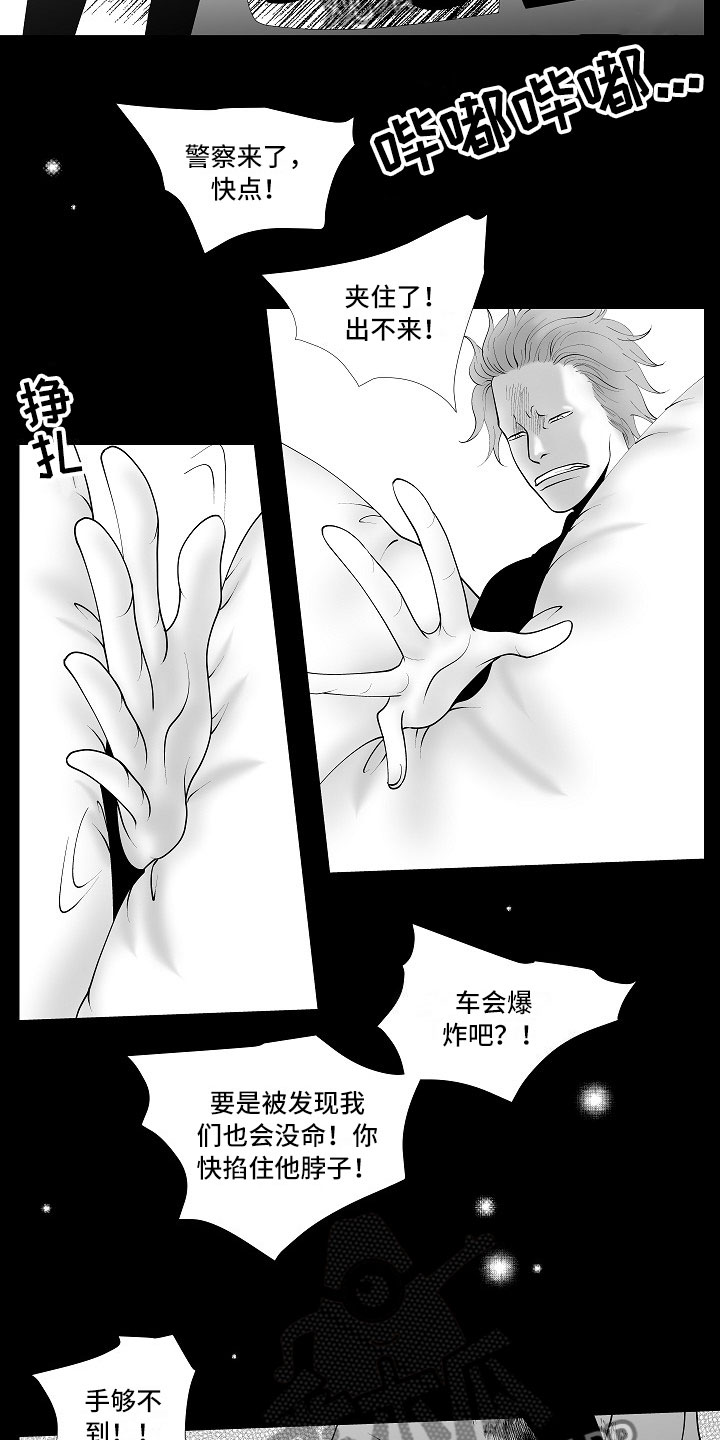 最后的重逢dj版漫画,第11章：所长的目的2图