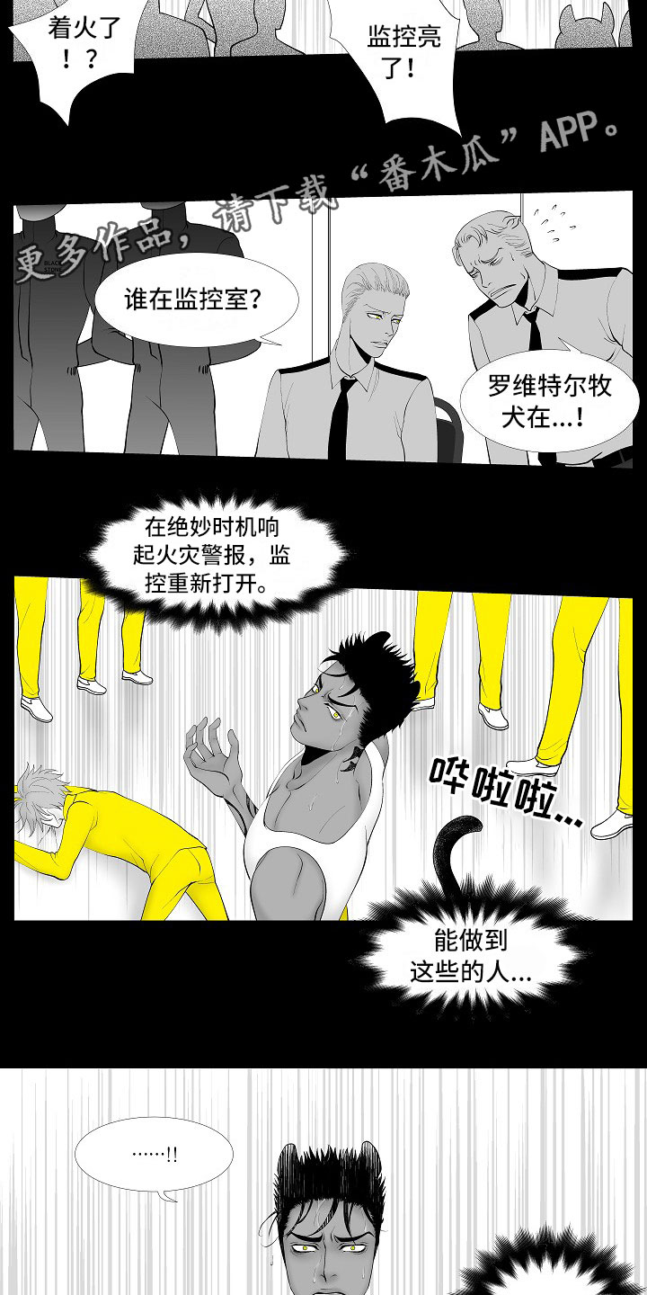 最后的重逢音乐表达什么漫画,第13章：重要的事2图