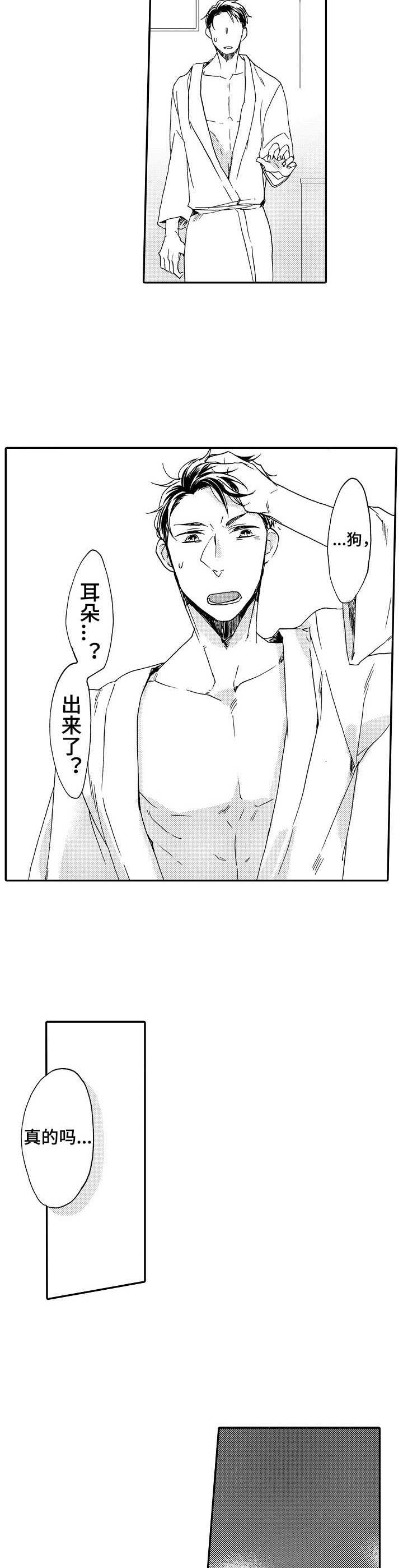狼的报恩漫画,第3章：耳朵2图