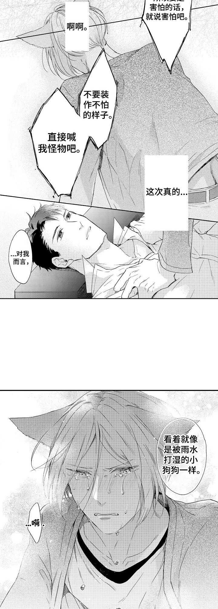 狼的回报小说漫画,第17章：心意2图